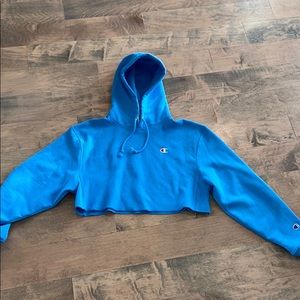 Champion Reverse Weave Crop Hoodie
